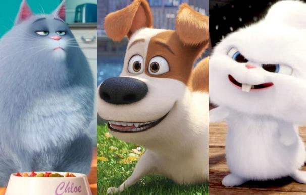 Entrevistamos a Max, Pompón y Chloe, los geniales protagonistas de Mascotas