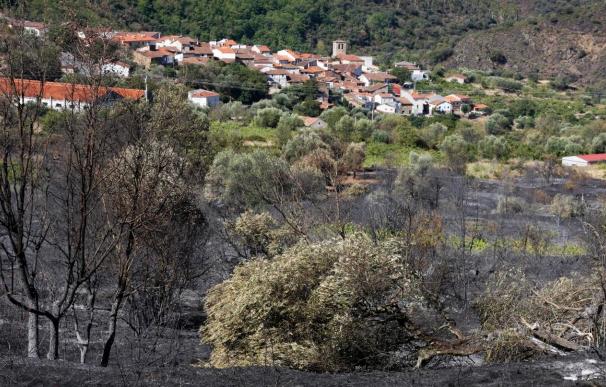 La Junta confirma que el incendio de San Esteban de la Sierra fue intencionado