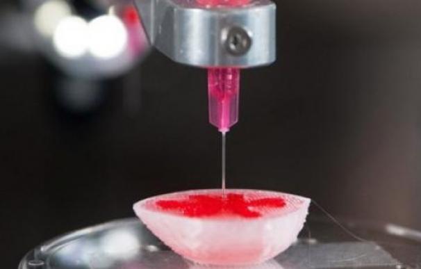 El uso de las impresoras 3D para crear órganos artificiales en la medicina avanza a pasos agigantados.