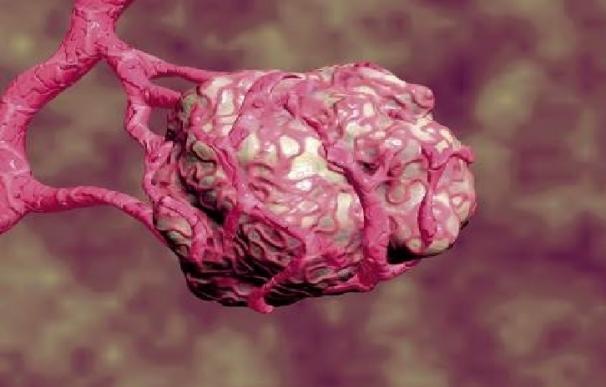 Sanidad autoriza el primer medicamento biológico contra el cáncer de cérvix