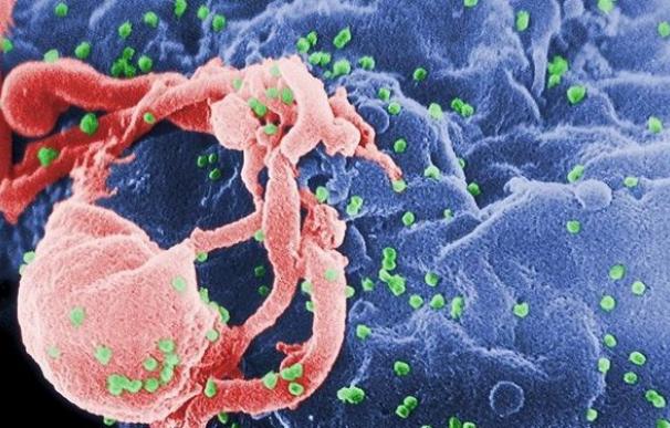 Uno de cada siete portadores del VIH en la Unión Europea ignora su estado