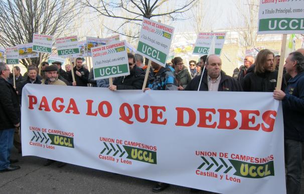 UCCL exige que Junta pague las ayudas de la campaña 2011-12 a los 5.300 remolacheros afectados y "cumpla lo prometido"
