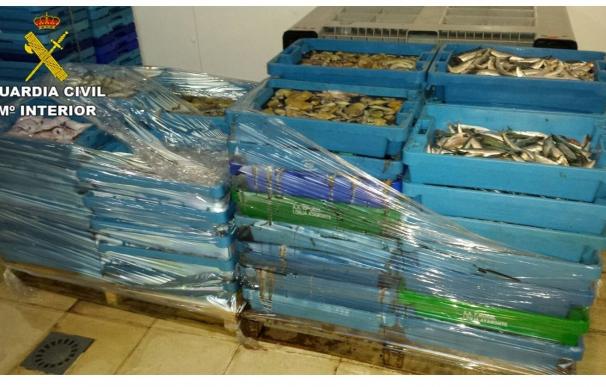 La Guardia Civil interviene en la Vila Joiosa más de media tonelada de pescado fresco inmaduro