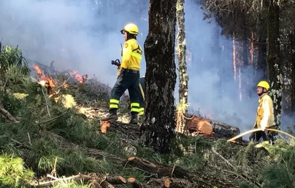 El Cabildo de Gran Canaria inicia las primeras quemas para prevenir incendios forestales