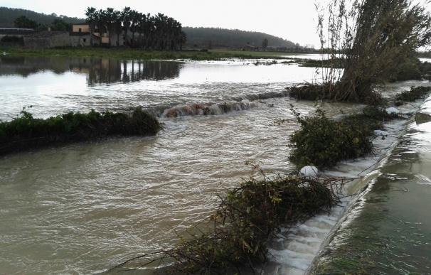 Los agricultores estiman unos siete millones de euros en pérdidas tras las inundaciones en los campos