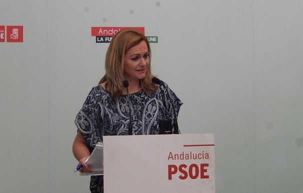 Serrano (PSOE) pide al Gobierno que suprima la tasa de 60 euros por la regularización catastral