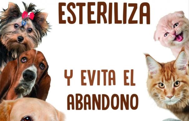 Este lunes comienza la campaña de esterilización subvencionada de perros y gatos en Cartagena