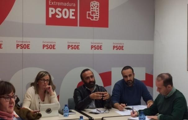 El PSOE de Cáceres destaca los "logros" de la Junta en materia sanitaria en el último año ante el "ataque" del PP