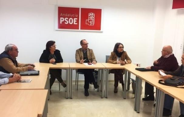 PSOE volverá a pedir en el Congreso y Senado que Rajoy "restituya los derechos" de los emigrantes retornados