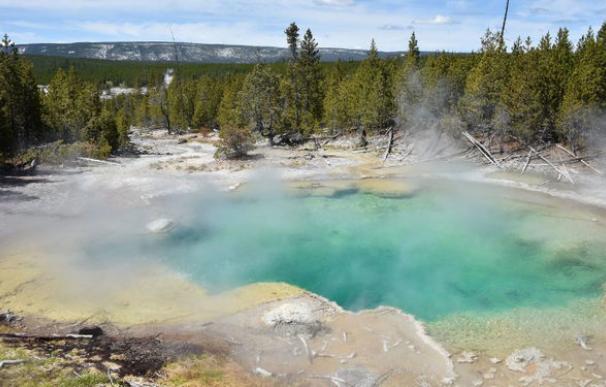 Aguas termales de Parque Yellowstone disuelven cuerpo de un hombre