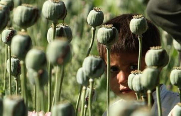 Estados Unidos teme que los insurgentes hayan cambiado de modo de financiación, una vez que las cosechas de opio han disminuido. | Reuters