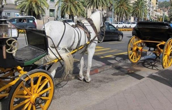 Marbella limitará la circulación de coches de caballos y cambiará las herraduras de hierro por plástico
