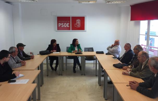 PSOE preguntará al Gobierno si atenderá las reivindicaciones "justas" de los emigrantes retornados