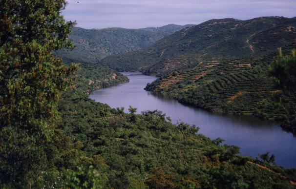 WWF: si no se responde en plazo al "ultimátum" de Unesco sobre el dragado Doñana podría entrar en Lista Negra