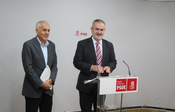 El PSOE-RM presenta un proyecto de ley para facilitar la muerte "digna y en paz"