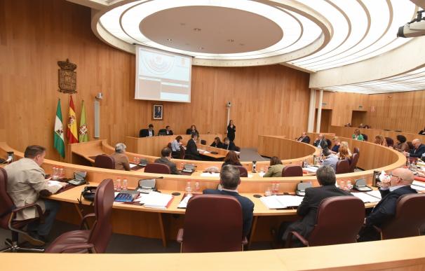 El pleno de la Diputación insta al CGPJ a ubicar en Granada las nuevas secciones del TSJA