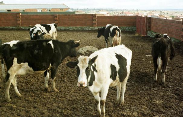 Los productores lácteos aseguran que podrán aguantar "poco tiempo"