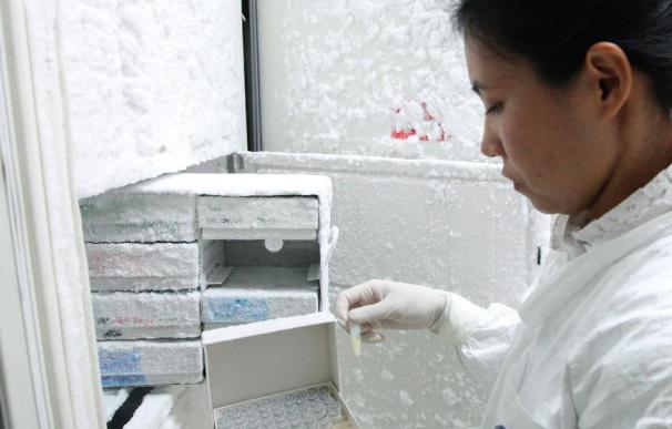 Científicos españoles desarrollan un biosensor que detecta el VIH en una hora
