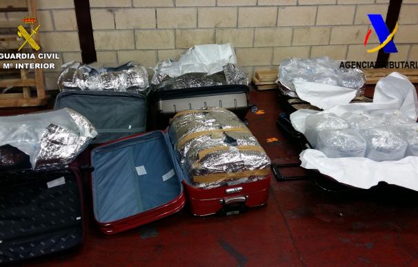 Incautados en el Aeropuerto de Bilbao 40 kilos de angulas ilegales vivas con destino Shanghái (China)