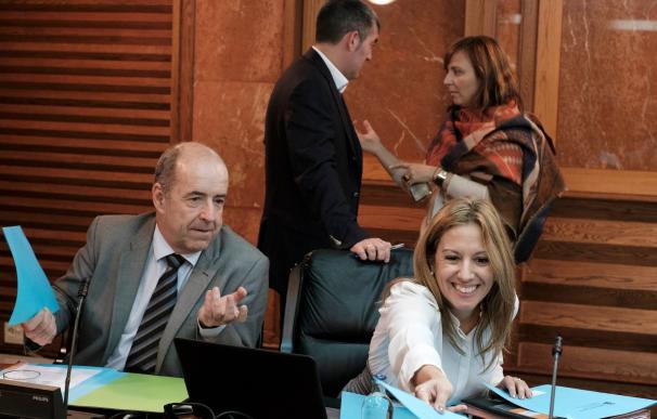 El Gobierno de Canarias aprueba el reparto del FDCAN con la ausencia del PSOE