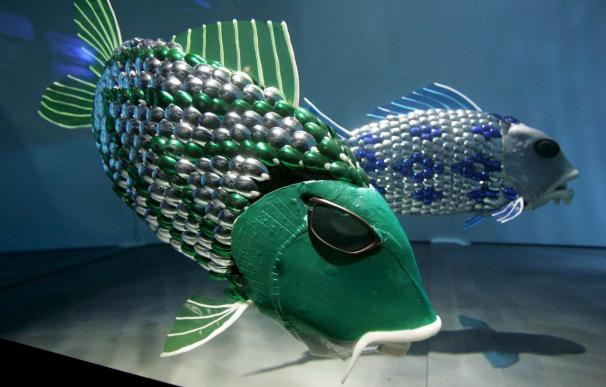 Gijón acogerá en noviembre un encuentro para el desarrollo del proyecto "pez robot"