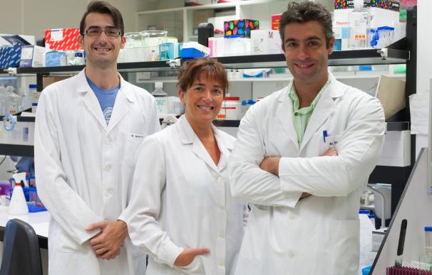 Científicos del CIMA diseñan nuevas moléculas contra el melanoma