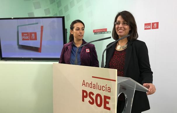El PSOE advierte de la "comprometida situación" de Somuvisa por encontrarse "al borde de la insolvencia"