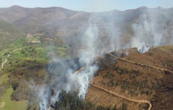 Cuatro incendios forestales continúan activos en Cantabria