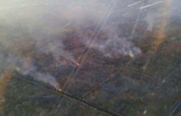 Medios aéreos y terrestres trabajan en la extinción de un incendio en el marjal de Gandia