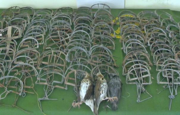 Sorprendido cazando aves con trampas ilegales en Monterrubio de la Serena (Badajoz)