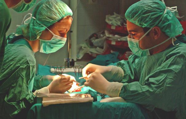 Andalucía supera el récord de trasplantes en un trimestre con 237 trasplantes de órganos realizados