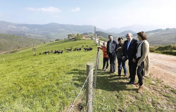 Oria cree que la vaca tudanca sigue siendo un "tótem" de Cantabria y confía en verla de nuevo en ferias y pasás