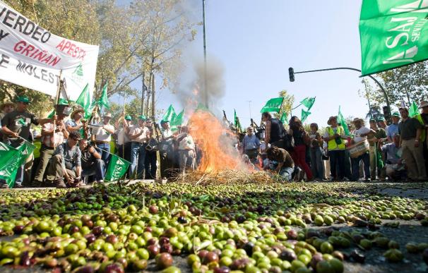 Agricultores protestan en Sevilla por la situación de la aceituna de mesa