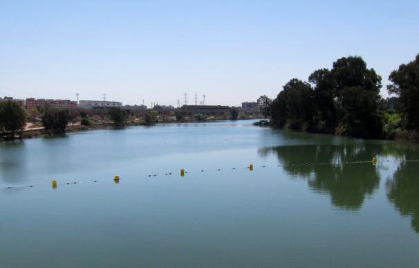 Ciudadanos insta a Medio Ambiente a poner en marcha actuaciones para frenar los "destrozos" en el Guadalquivir