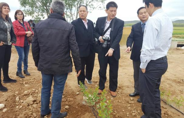 China se interesa por nuevas variedades melocotón y la planta de biogás de Almenar (Lleida)