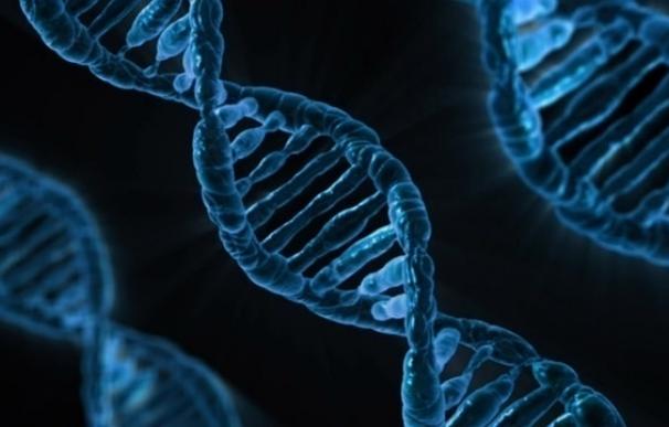 Investigadores internacionales publican de forma simultánea más de 40 estudios sobre el epigenoma humano