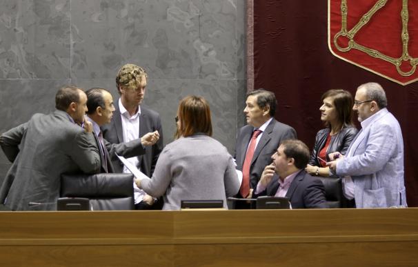 El Parlamento de Navarra, en "desacuerdo" con que se califiquen de terrorismo los hechos de Alsasua