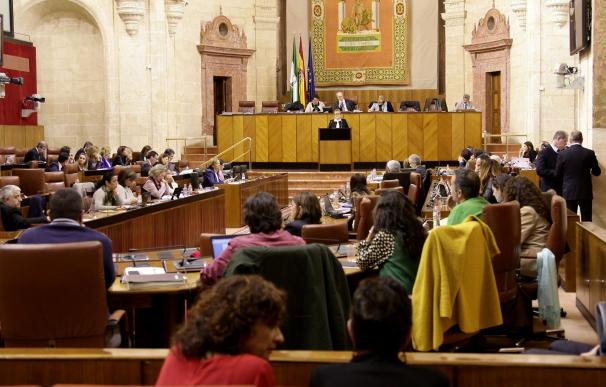 El Pleno del Parlamento andaluz convalida o deroga este miércoles el Decreto Ley de Escuelas Infantiles