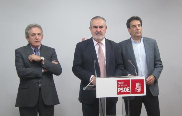 PSOE registra moción para pedir la suspensión de todos los desarrollos urbanísticos que afecten al Mar Menor