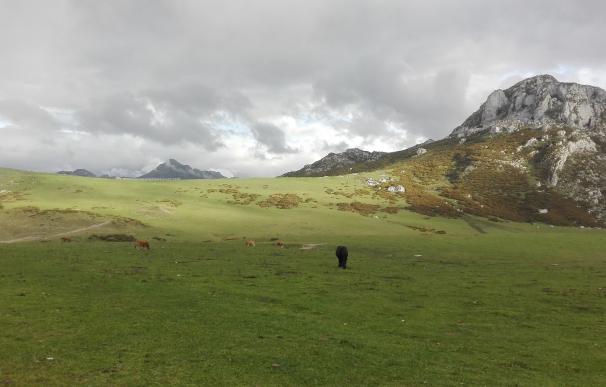Asturias conmemora este jueves el centenario de la Ley de Parques Nacionales con un acto en Buferrera