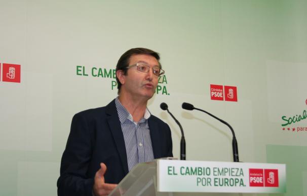 El PSOE afirma que la tarifa plana no ha servido para consolidar el trabajo autónomo en la provincia