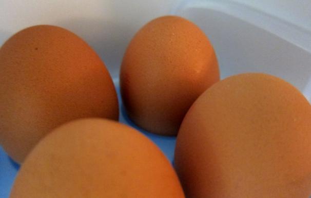 El Corte Inglés se compromete a retirar la venta de huevos procedentes de gallinas en jaulas en el año 2030