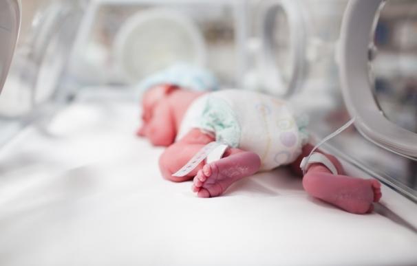 El 10% de los niños nacidos en España son fruto de un tratamiento de reproducción asistida