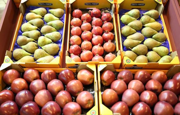 Agricultura publica las ayudas para participar en el programa de consumo de frutas y hortalizas en las escuelas