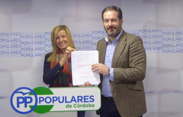 El PP critica que PSOE y C's "han impuesto el rodillo" al rechazar todas las enmiendas al presupuesto andaluz