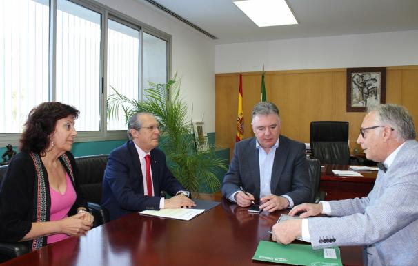 Junta y Cruz Roja abordan la colaboración en los planes de emergencia de Protección Civil en Andalucía