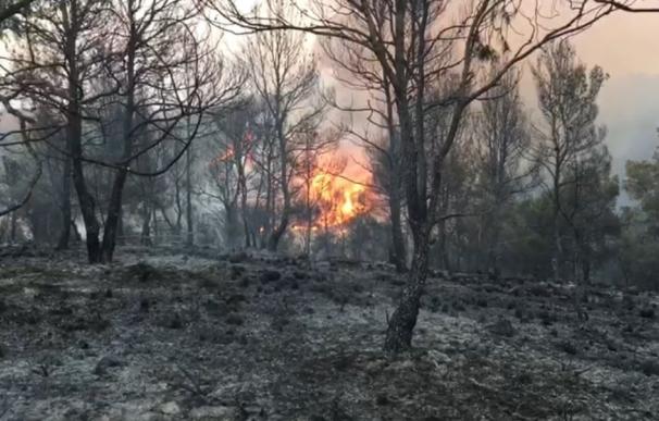 Casi una treintena de personas trabajan en la extinción del fuego de Villalpardo (Cuenca)