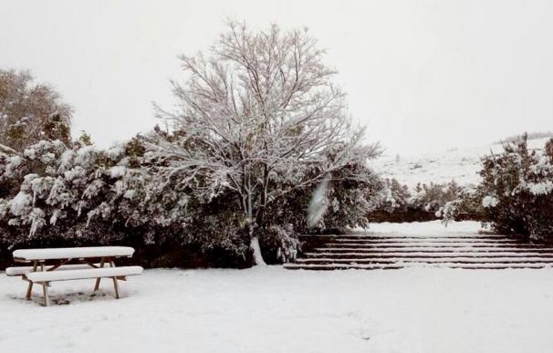 Asaja Extremadura pide ayudas para los agricultores de Piornal ante las pérdidas por la nieve valoradas en 6 millones