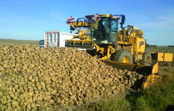 Azucarera finaliza la campaña 2016/2017 en la zona norte con 1.600.000 toneladas de remolacha