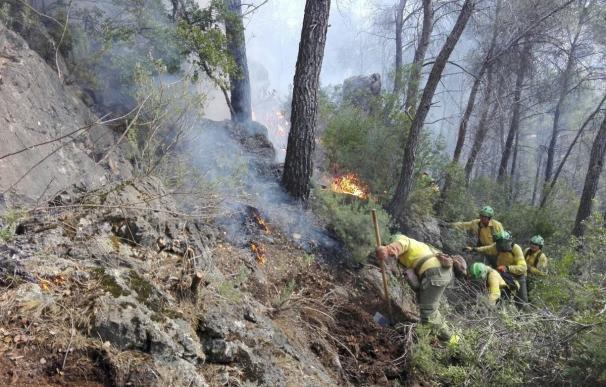 Infoca da por controlado el incendio forestal, cuyo foco original se ha declarado en Benatae